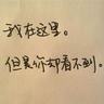 谍影重重